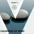 Ambient 11