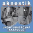 Aknestik