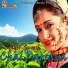 Suresh