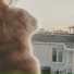 TheLegendaryCats