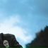deadlims