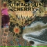 Outrageous Cherry