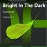 Bright In The Dark