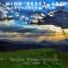Mind Reset 432