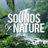 Sounds Of Nature