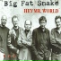 Big Fat Snake