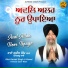 Bhai Karnail Singh Ji Kamal Himmat Garh Wale
