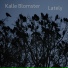 Kalle Blomster feat. La Cri