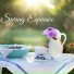 Spring Awakening