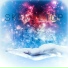 skemi