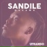 Sandile Ngcamu