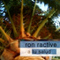 Ron Ractive