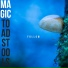 Magic Toadstools