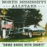 North Mississippi All Stars