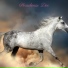 Lilike