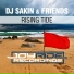DJ Sakin & Friends