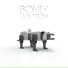Bonix