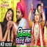 Anita shivani, Vinay nirmal