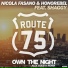 Nicola Fasano, Shaggy, Honorebel house-sound.net