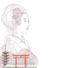 Midorii (미도리)