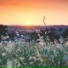 Relaxing Music, Deep Sleep, Spa