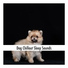Dog Chillout Music