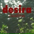 J Martina