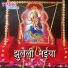 Diwakar Diwedi