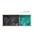 Mirror Fields