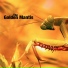 The Golden Mantis