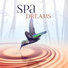 Beauty Spa Paradise