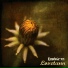Englebarn