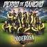La Poderosa Banda San Juan
