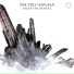 The Pollyanna