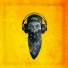Sivion, Bavu Blakes, The ARE
