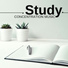 Study Chair