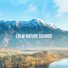Rest & Relax Nature Sounds Artists