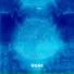 WONK