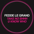 Fedde Le Grand Flamingo Project