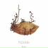 Nüdak