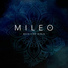 2016 Mileo