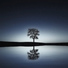 Chill Out, Massage Therapy Music, Spa Music