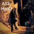 A13-HooD