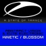 Abstract Vision & Elite Electronic