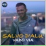 Salvo D'Alù