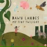 Dawn Landes