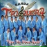 Banda Triguera