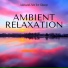 Simon Silence & Chakra Meditation Balancing