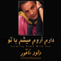 Davood Naghoor