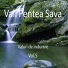 Vali Pentea Sava